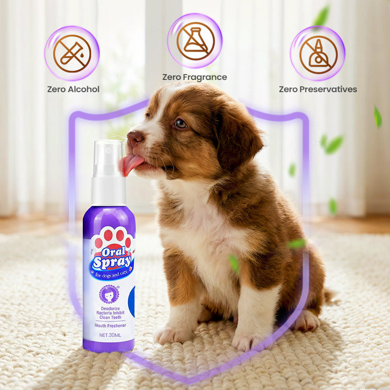 Kaevox® Advanced Pet Oral Spray | Fresh Breath, Plaque Biofilm & Gum Care — No Brushing