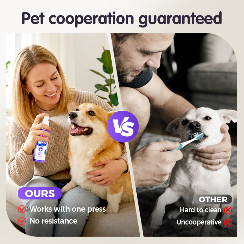 Kaevox® Advanced Pet Oral Spray | Fresh Breath, Plaque Biofilm & Gum Care — No Brushing