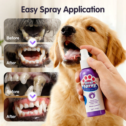 Kaevox® Advanced Pet Oral Spray | Fresh Breath, Plaque Biofilm & Gum Care — No Brushing