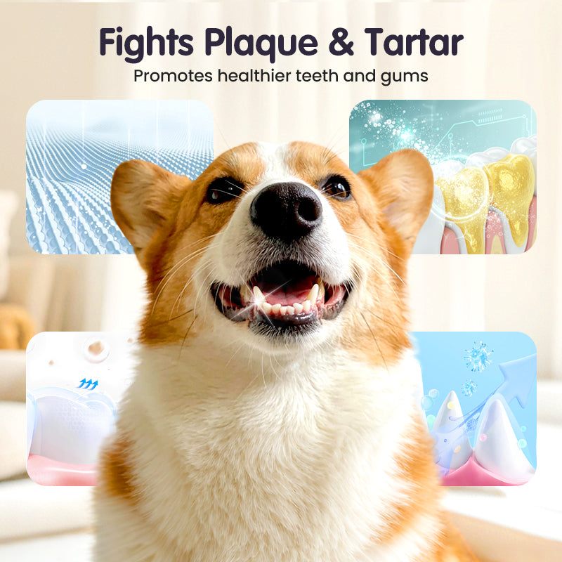 Kaevox® Advanced Pet Oral Spray | Fresh Breath, Plaque Biofilm & Gum Care — No Brushing