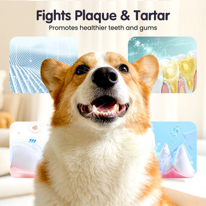 Kaevox® Advanced Pet Oral Spray | Fresh Breath, Plaque Biofilm & Gum Care — No Brushing