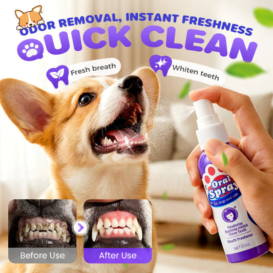 Kaevox® Advanced Pet Oral Spray | Fresh Breath, Plaque Biofilm & Gum Care — No Brushing