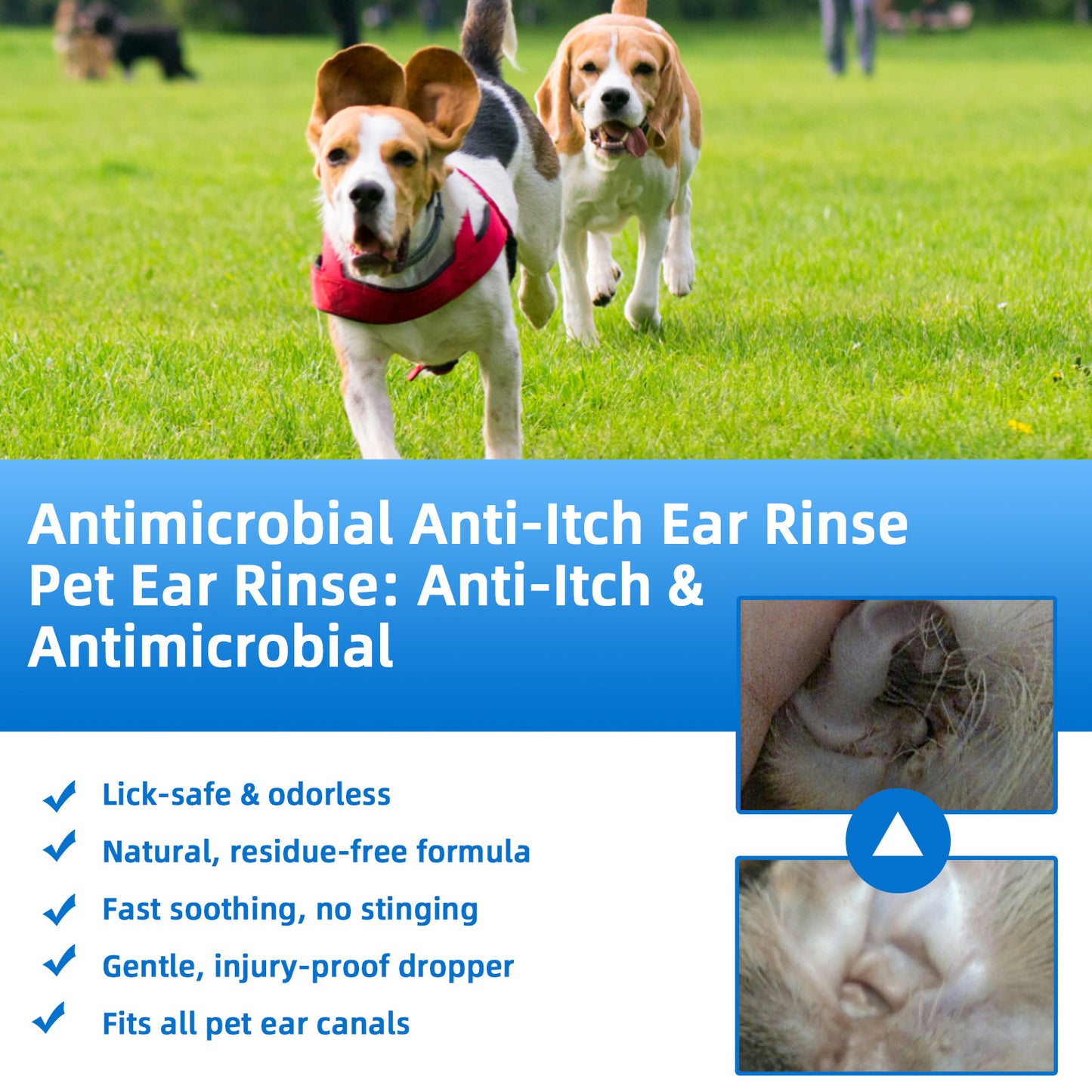 🐶KAEVOX🐱 Ear Cleaner | Relieves Itching In Dogs & Cats 👂