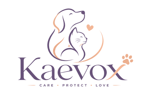 Kaevox